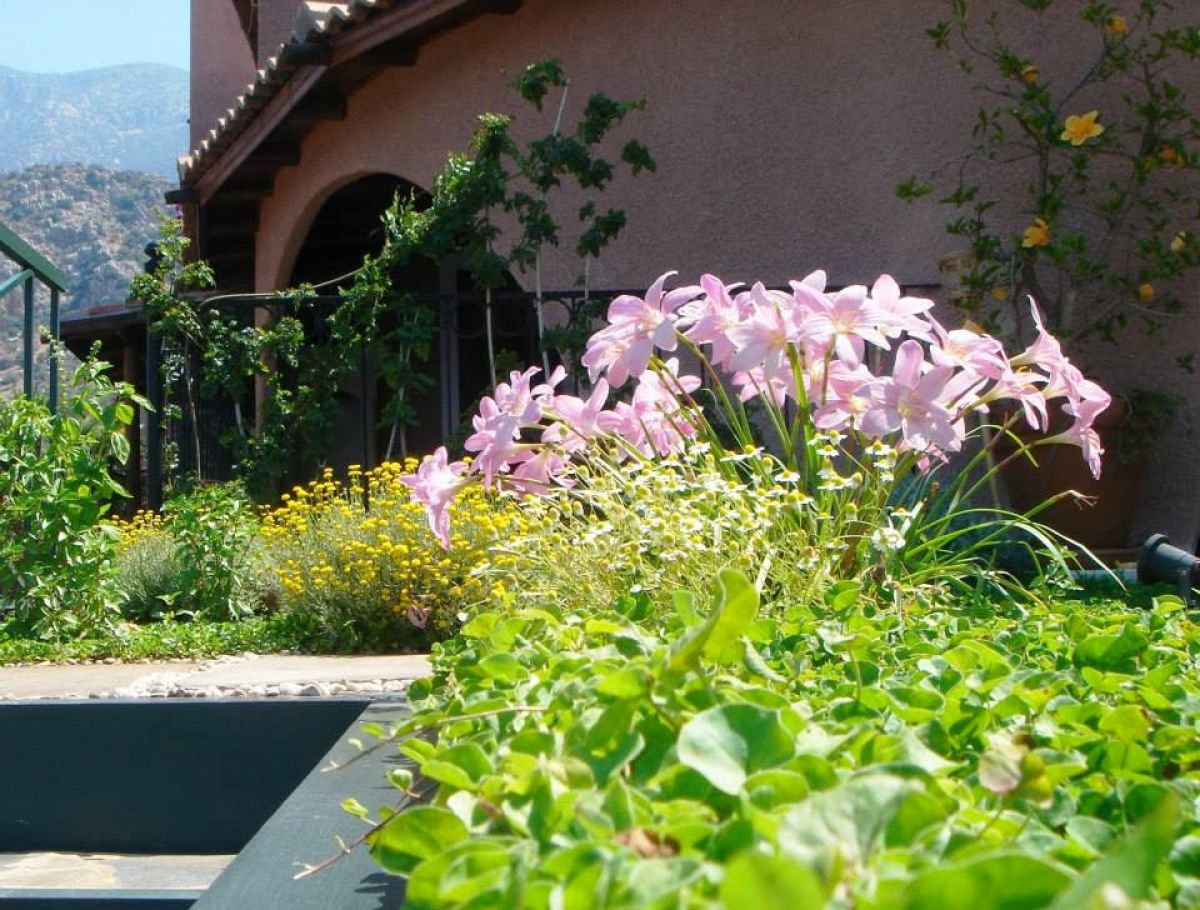 imagini hotel PATARA PRINCE RESORT